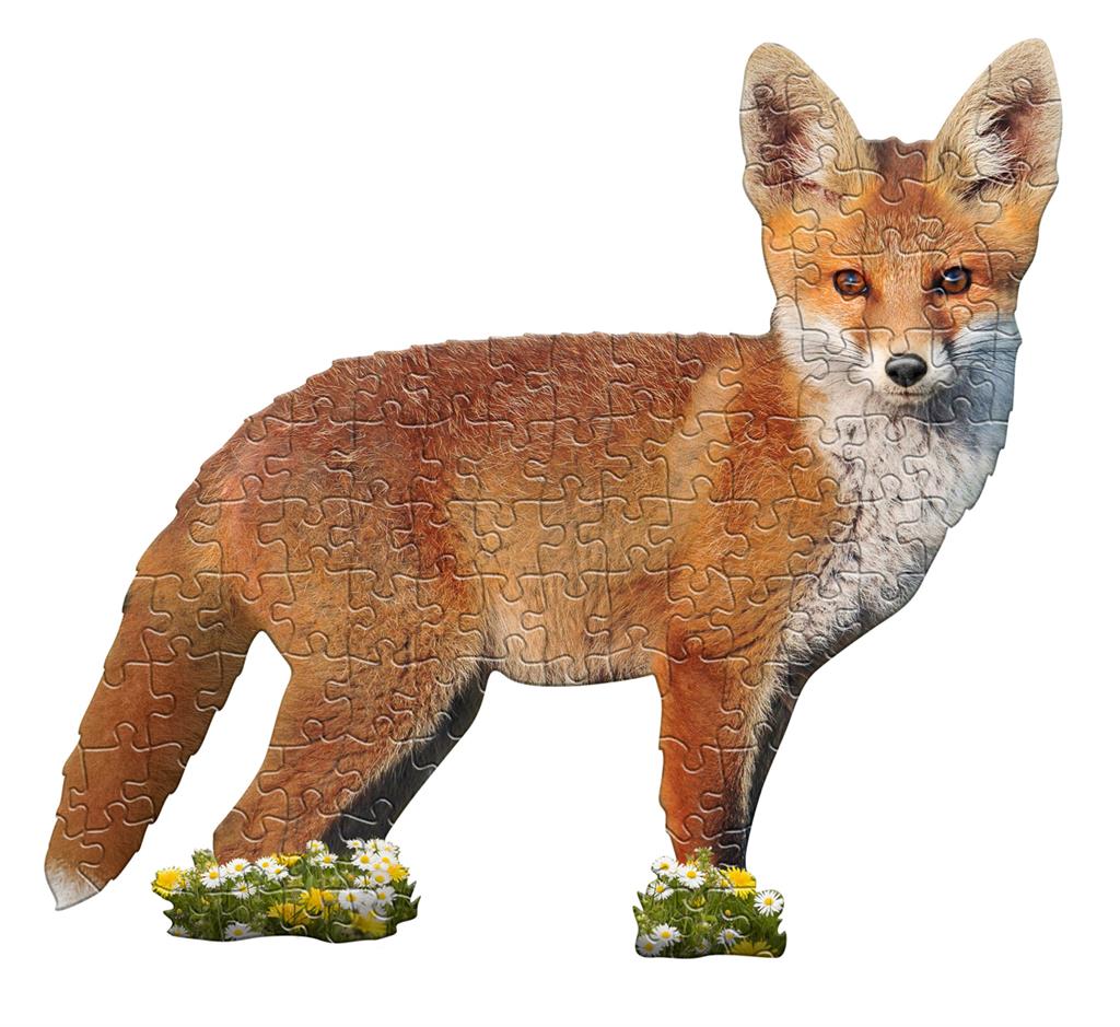 Boîte du puzzle Renard Madd Capp
