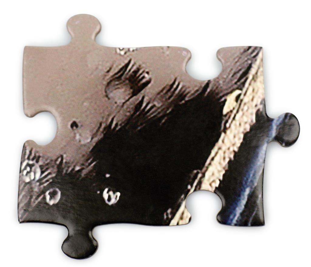 Puzzle Manchot