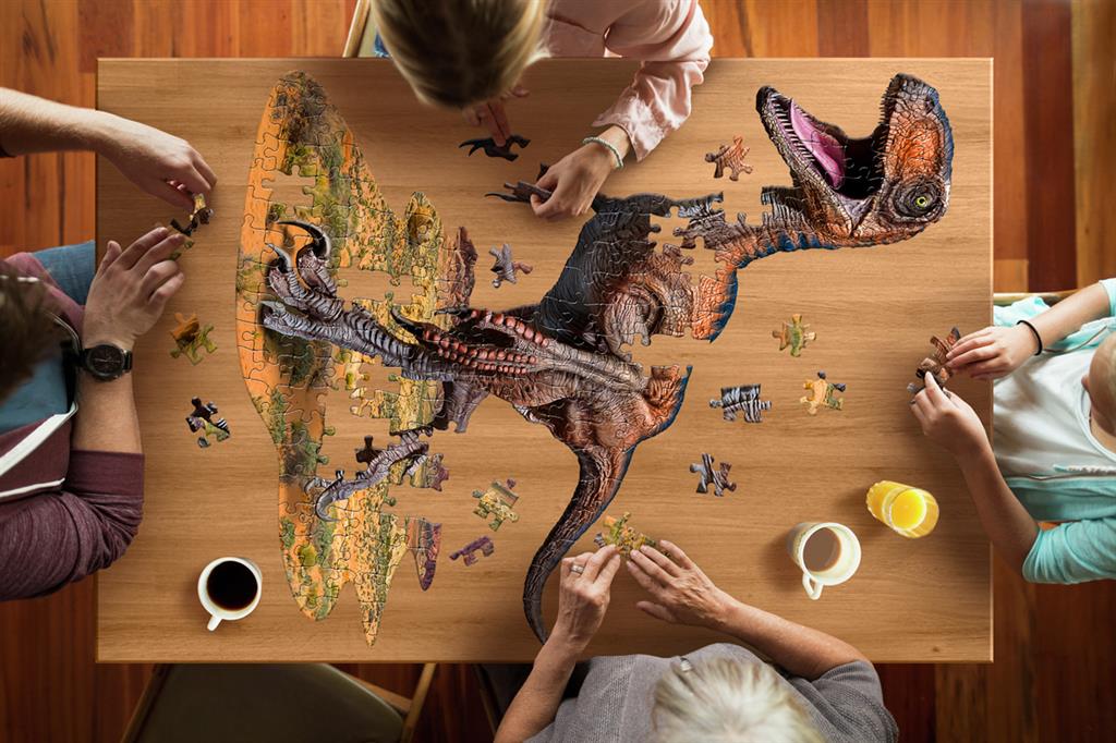 Puzzle I AM Raptor - emballage Madd Capp