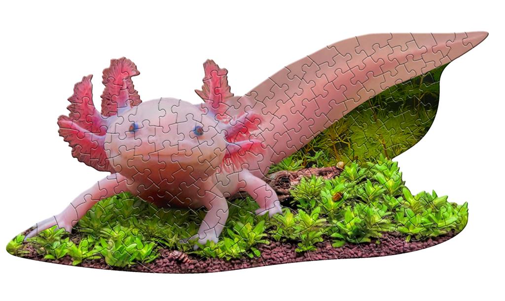 Puzzle Axolotl Madd Capp - vue assemblée