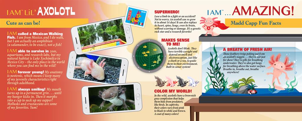 Puzzle Axolotl