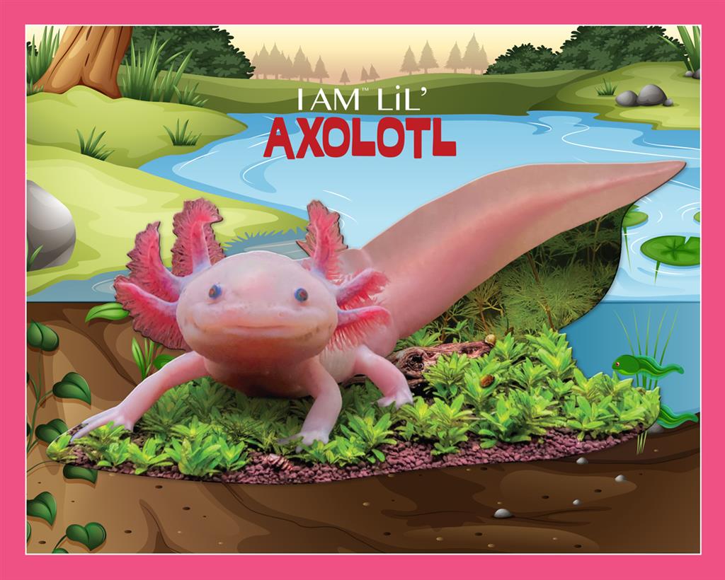 Boîte du puzzle Axolotl Madd Capp