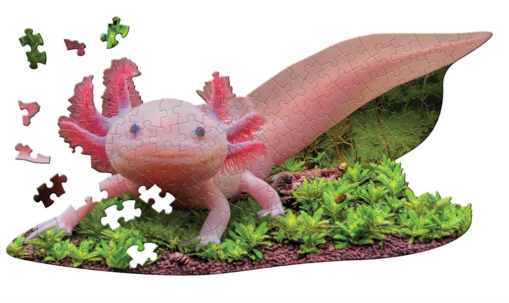 Puzzle animal Axolotl 100 pièces Madd Capp