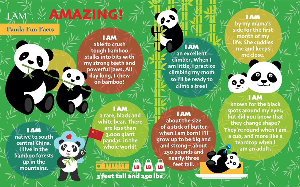 Puzzle Panda 24 pièces - détail
