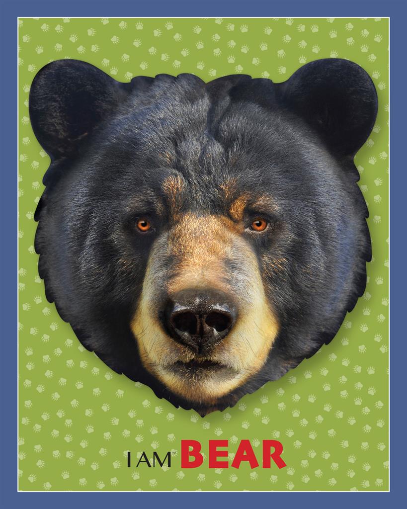 Puzzle Ours 24 pièces - emballage Madd Capp