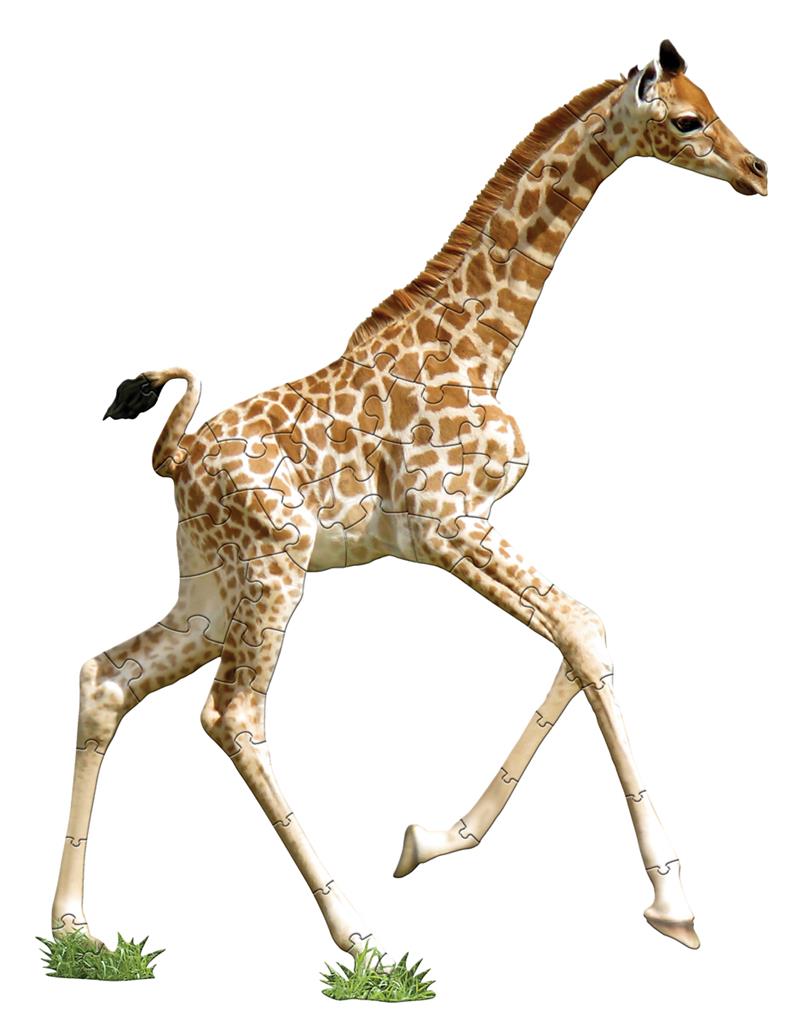 Puzzle I AM Girafe 48 pièces Madd Capp