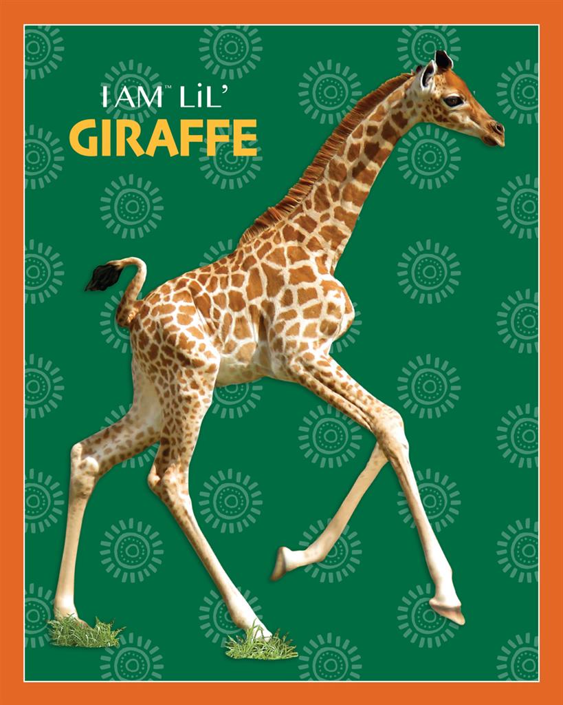 Puzzle animal Girafe 48 pièces Madd Capp