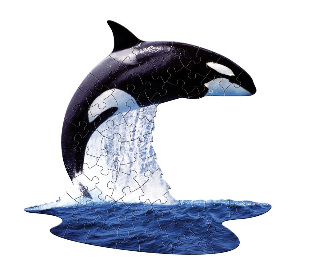 Orca-Rätsel