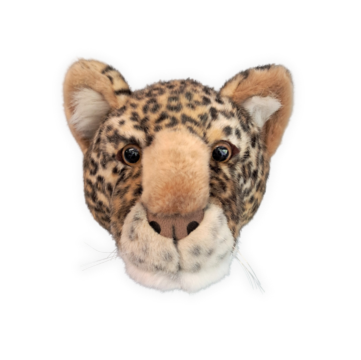 Charlie le Léopard : Déco murale - Tête moyenne - Wild & Soft