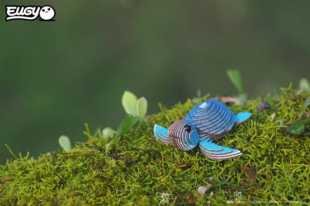 EUGY 3D - Tortue
