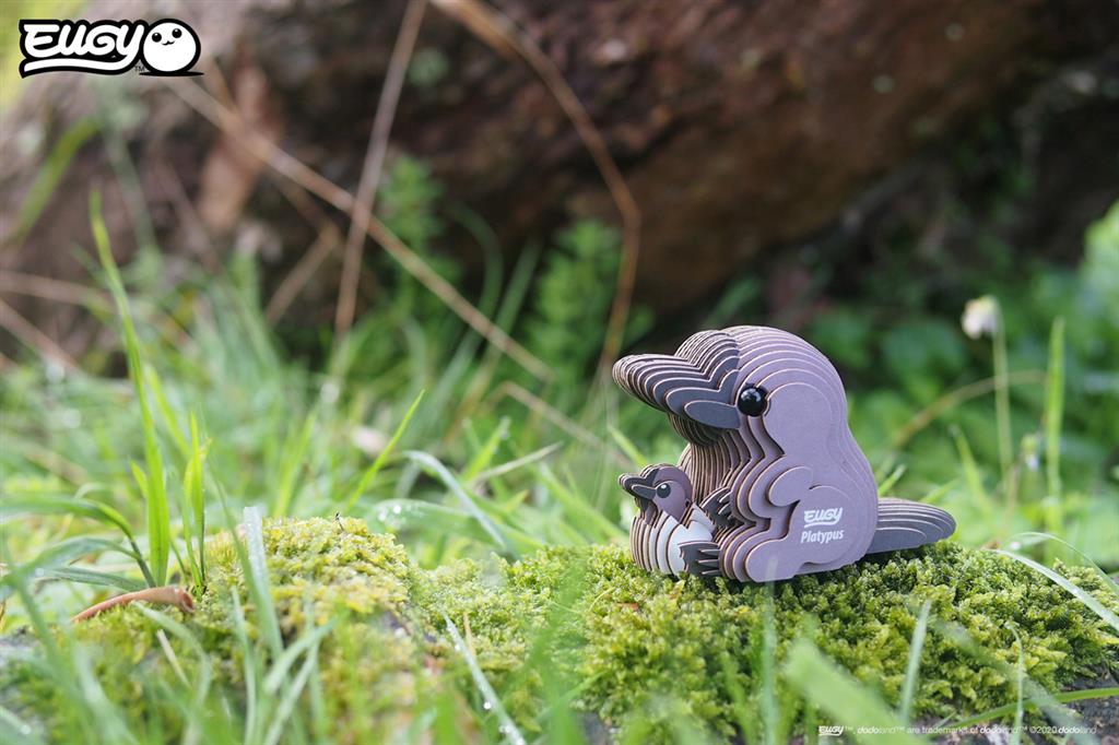 EUGY 3D - Platypus
