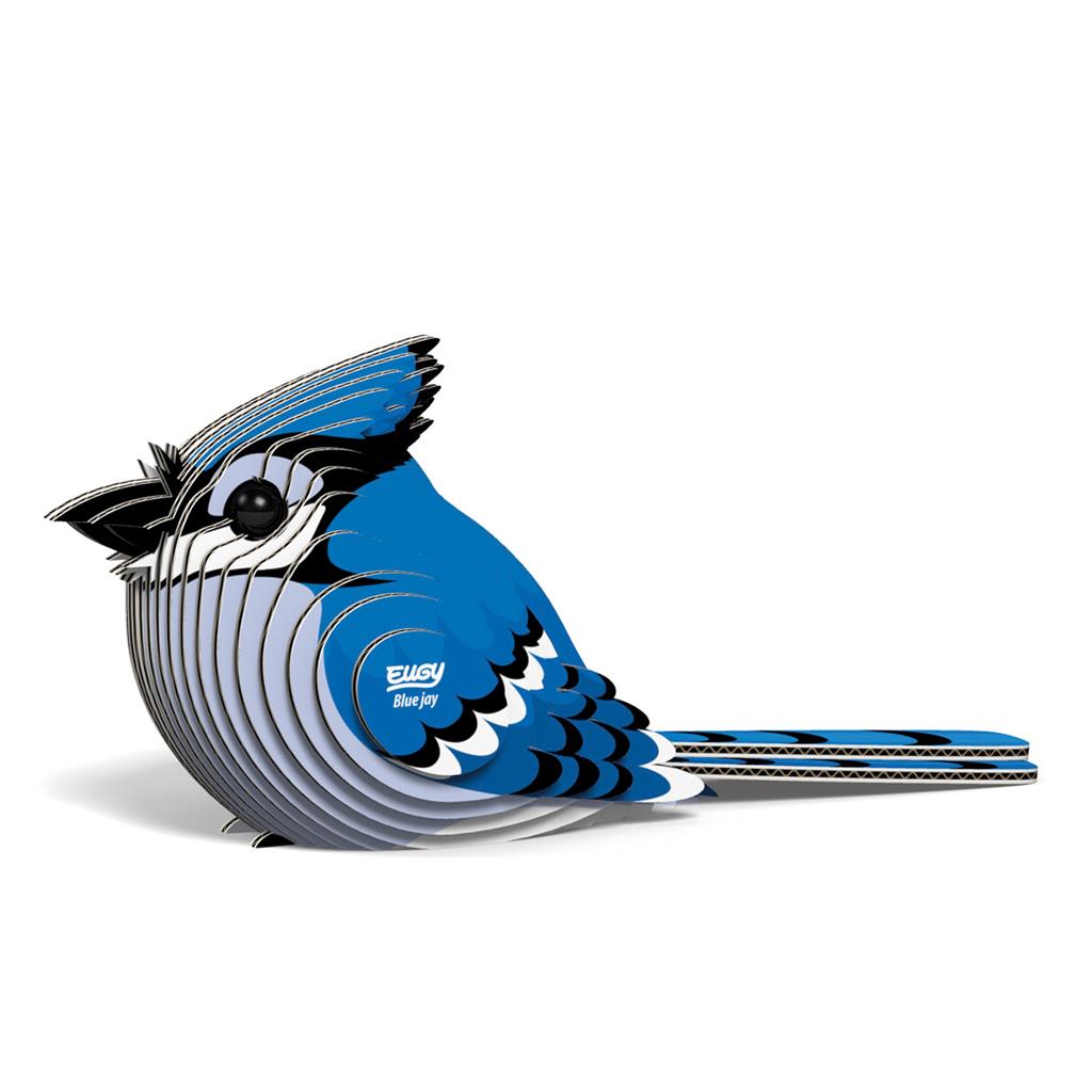 EUGY 3D - Blue Jay