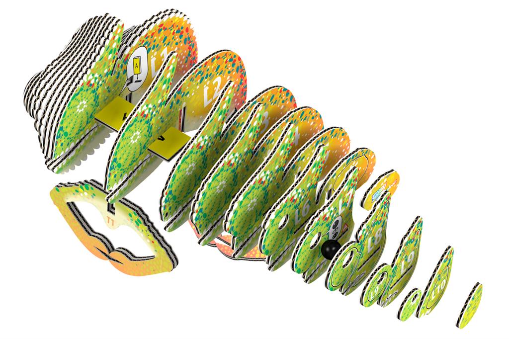 EUGY 3D - Caméléon