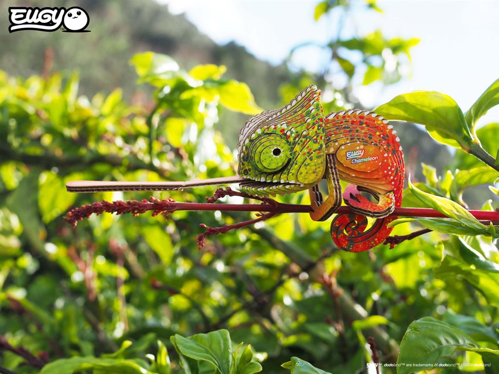 EUGY 3D - Caméléon