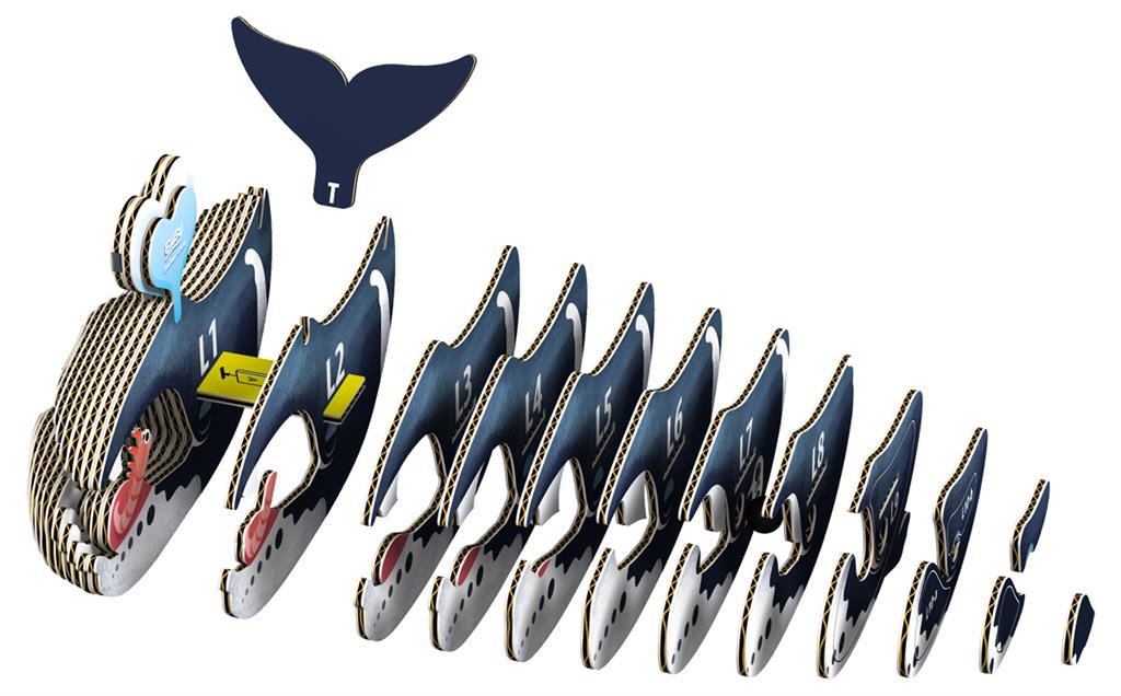 EUGY 3D - Balena della Groenlandia