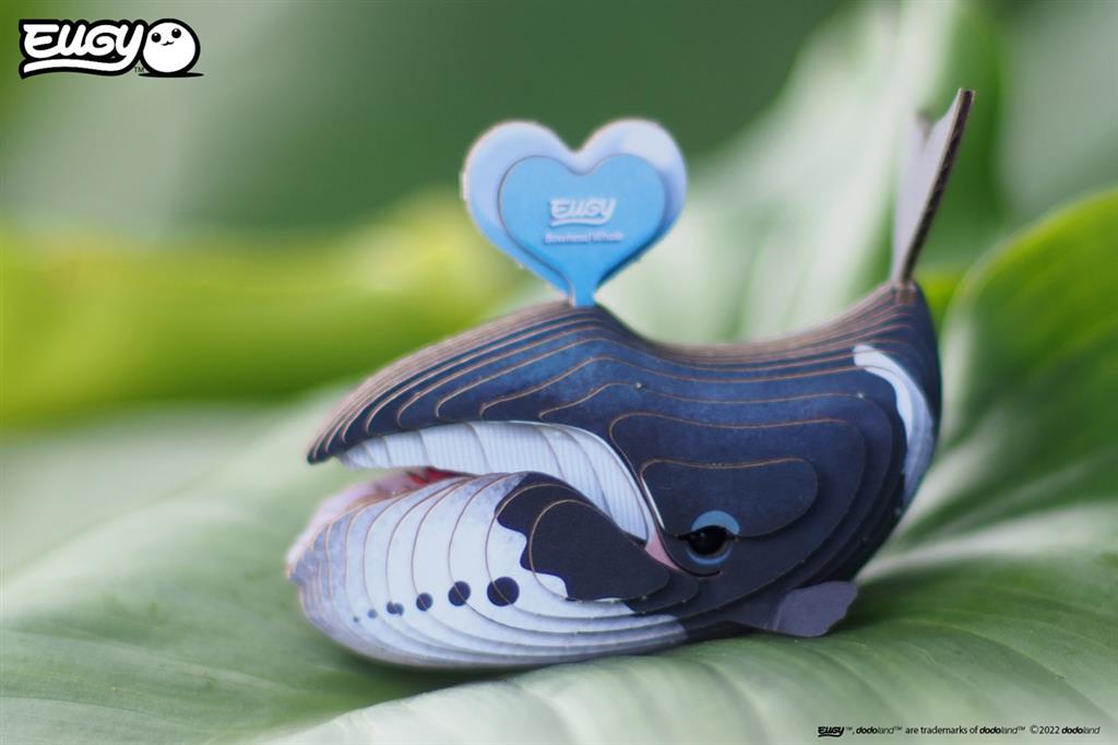 EUGY 3D - Balena della Groenlandia