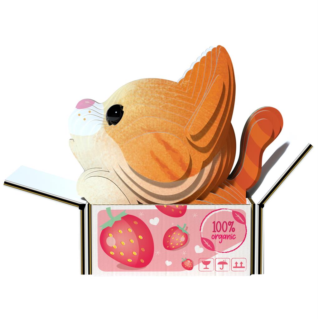 EUGY 3D - Katzen - Kürbis