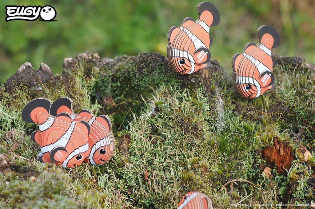 EUGY 3D - Pesce Pagliaccio