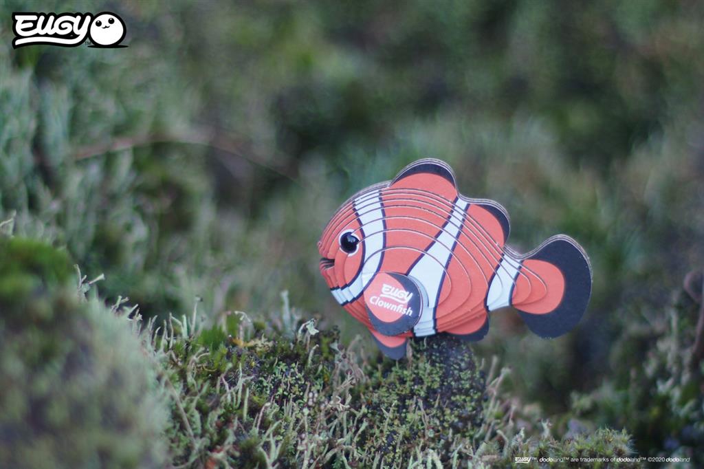 EUGY 3D - Pesce Pagliaccio