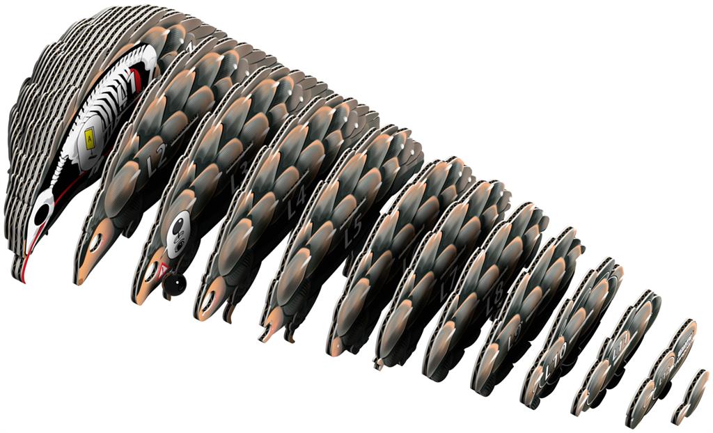 EUGY 3D - Pangolin