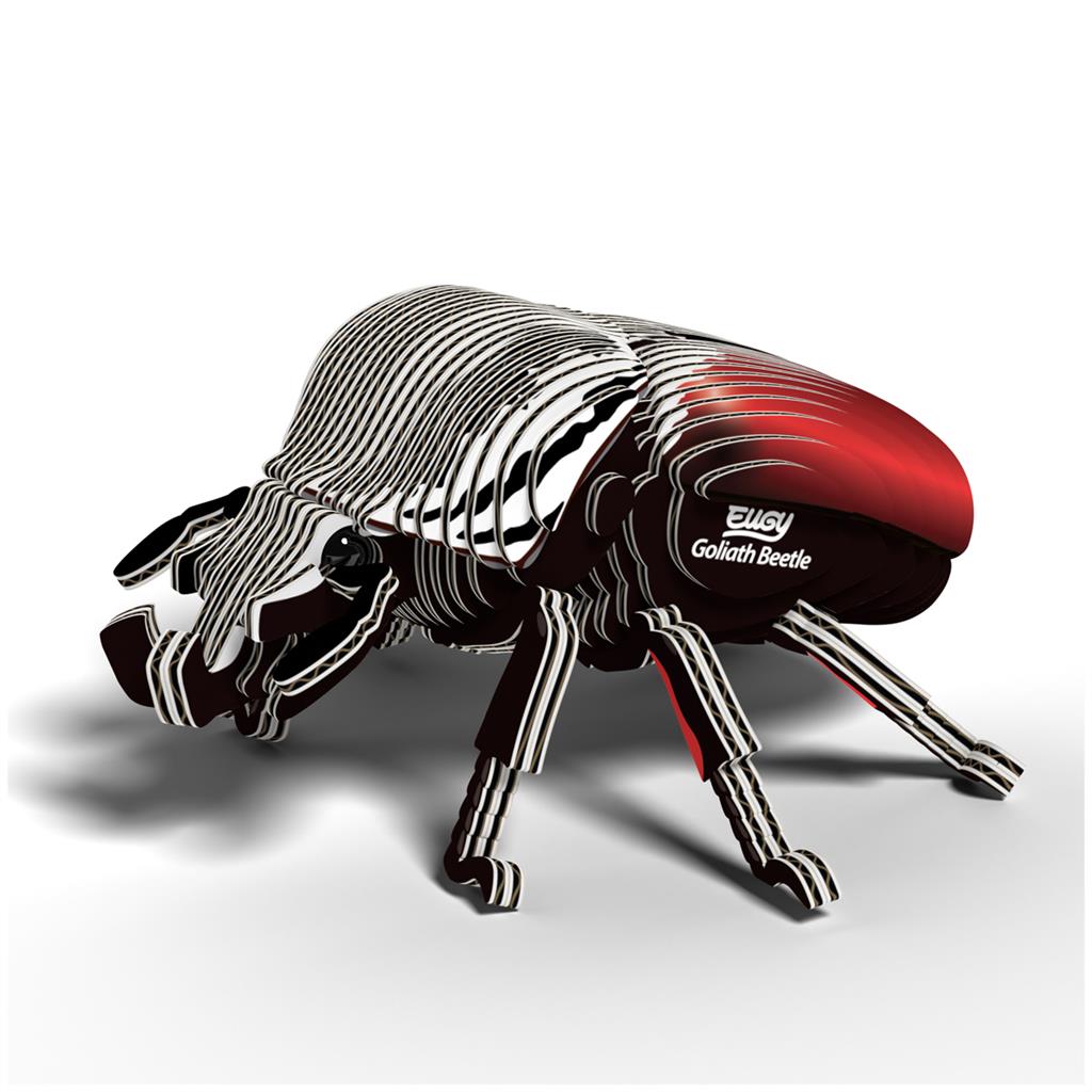 EUGY 3D - Coléoptère Goliath
