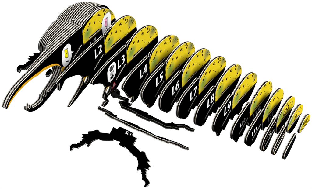 EUGY 3D - Coléoptère Hercule