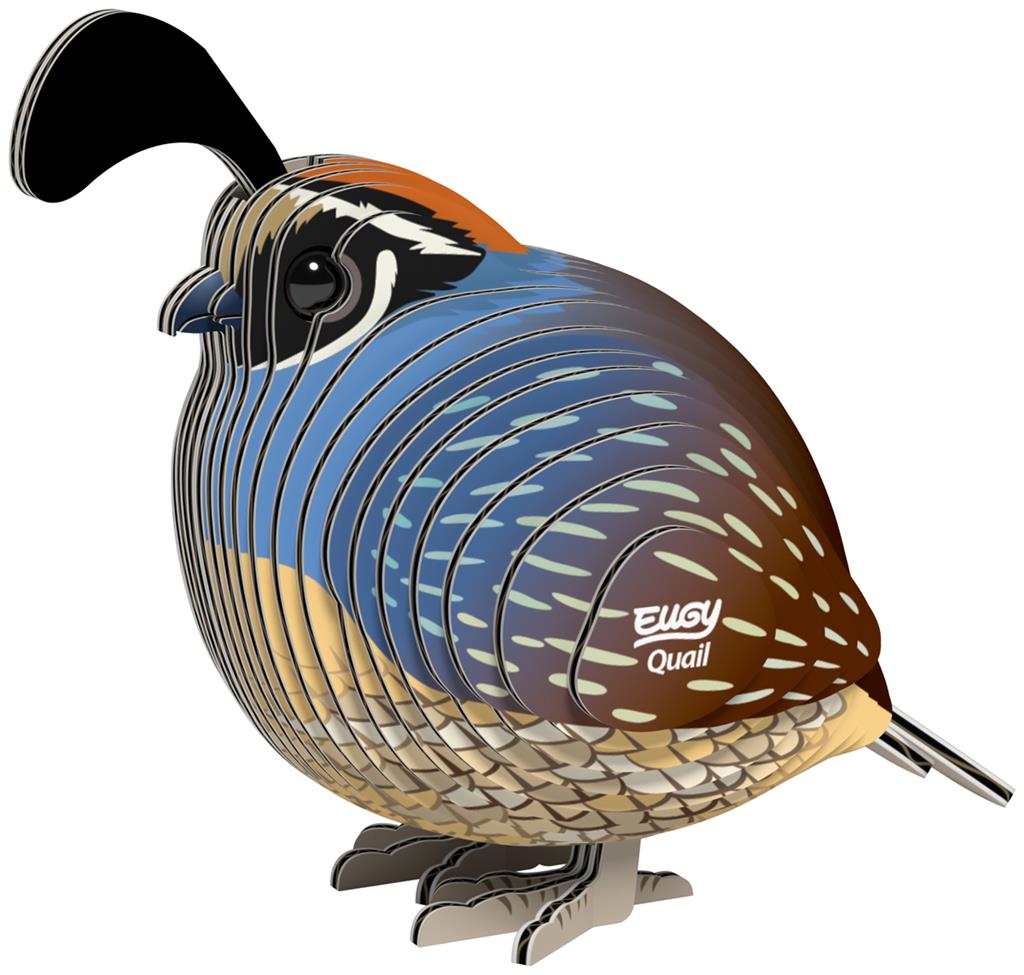 EUGY 3D - Caille