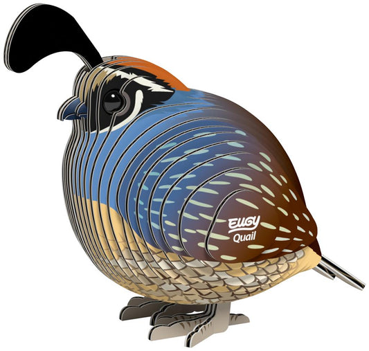 EUGY 3D - Caille