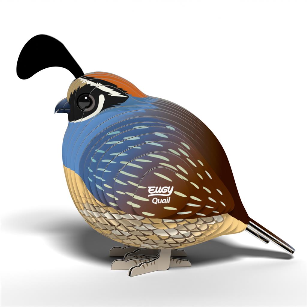 EUGY 3D - Caille