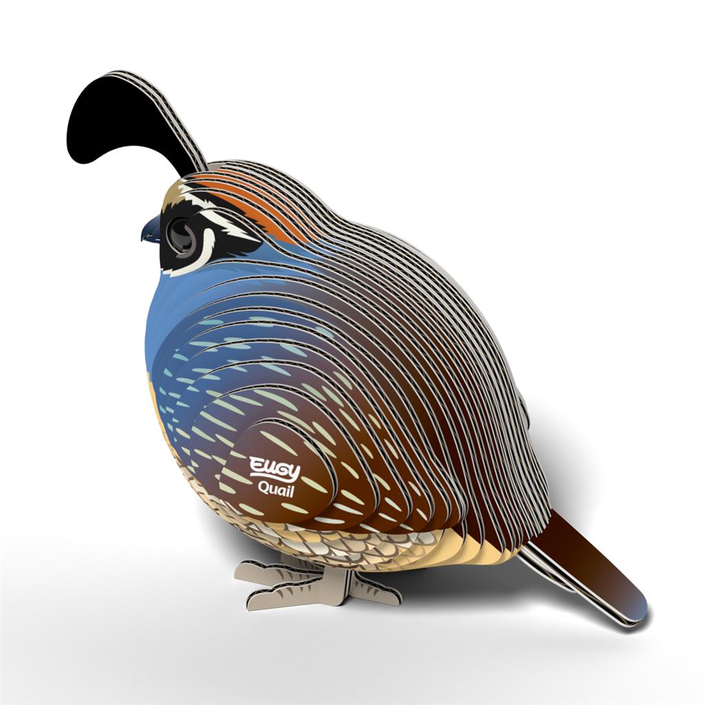 EUGY 3D - Caille