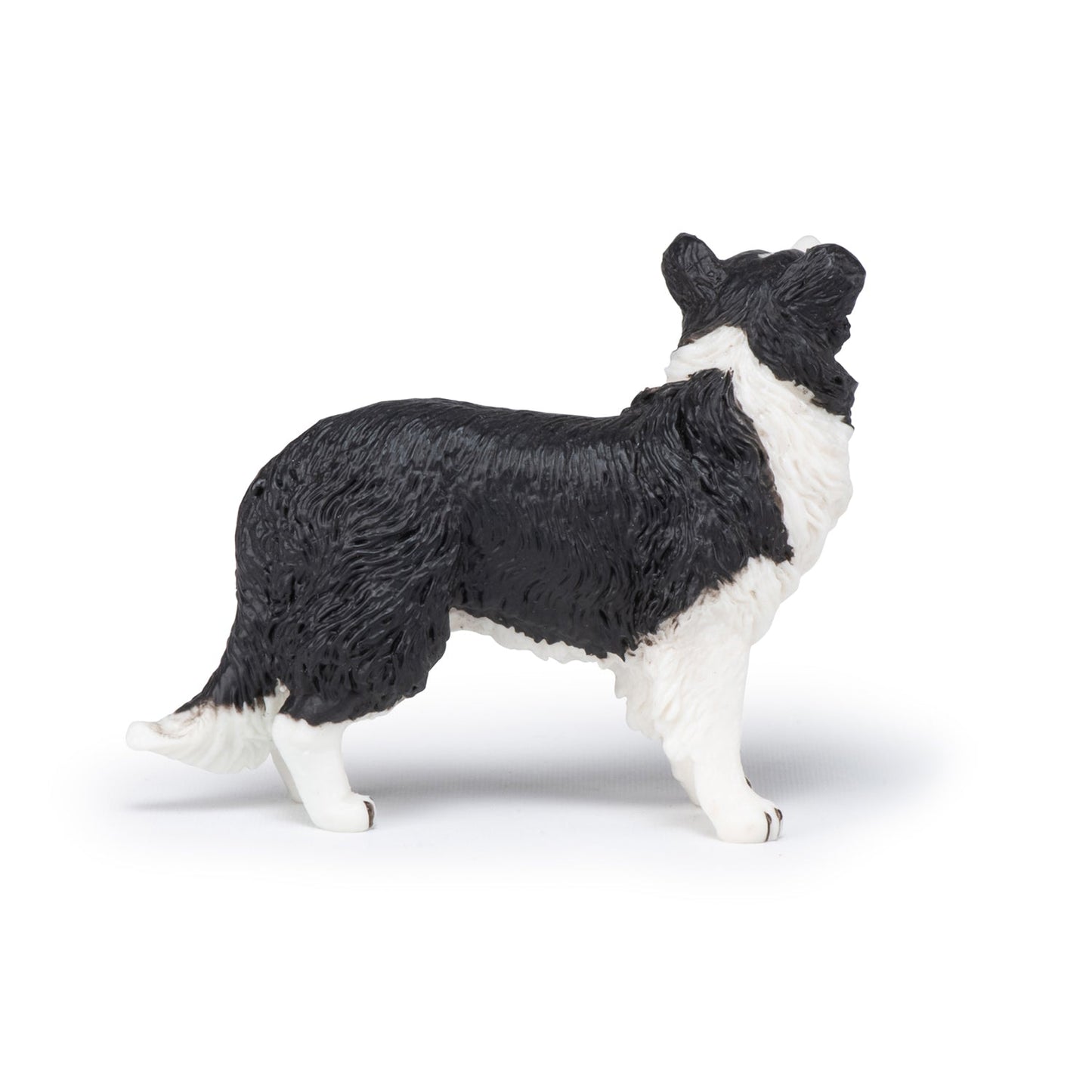 Figurine Border collie Papo - chien ou chat