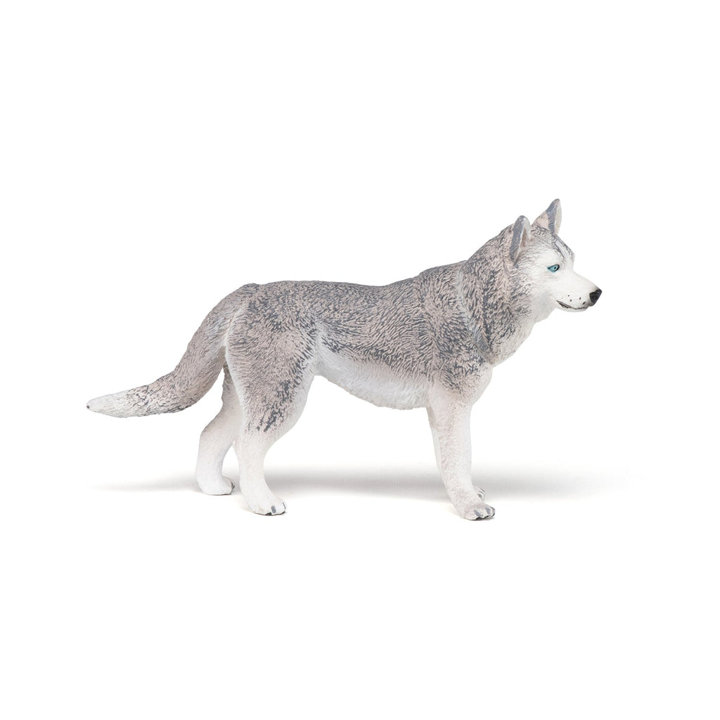Figurine Husky de Sibérie Papo - chien ou chat