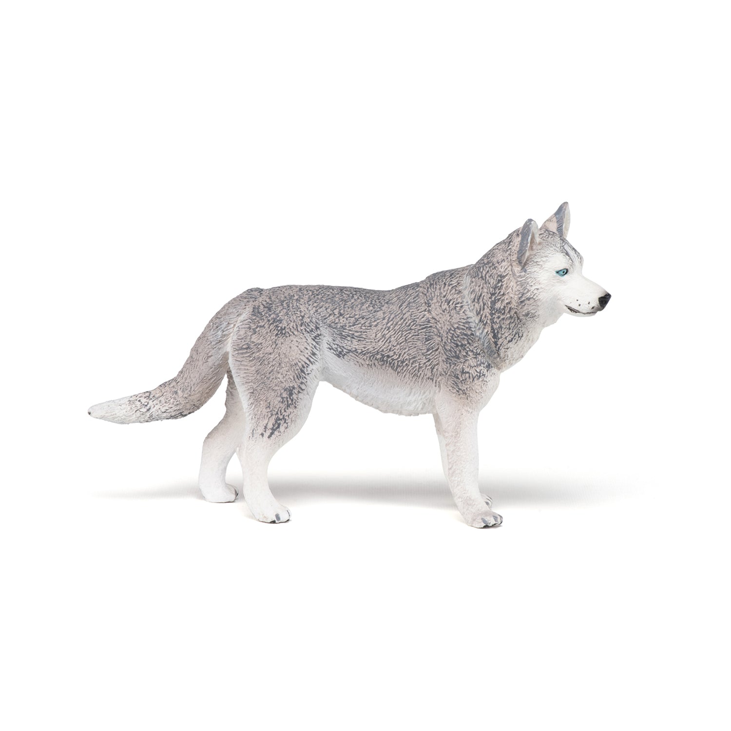 Figurine Husky de Sibérie Papo - chien ou chat