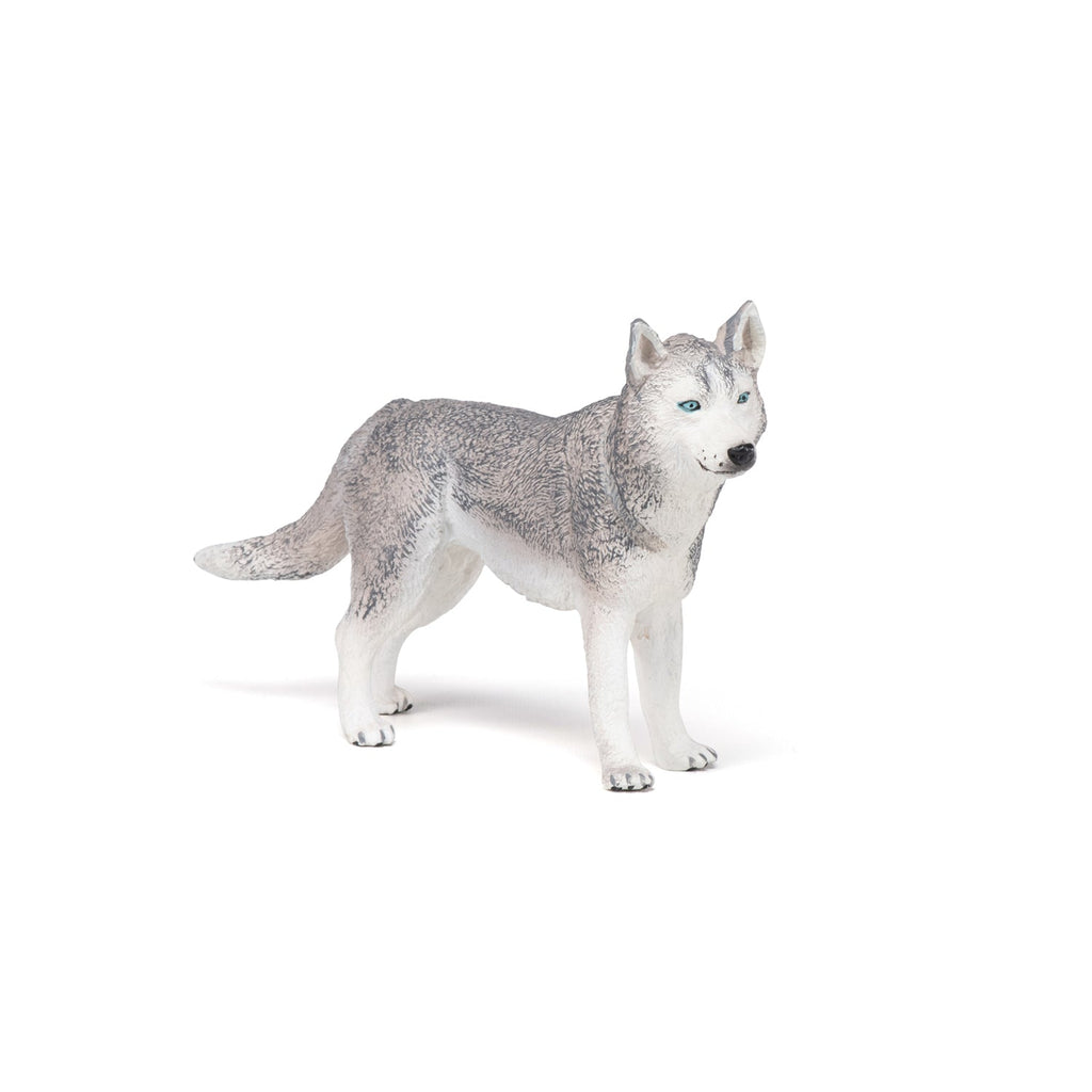 Figurine Husky de Sibérie Papo - chien ou chat