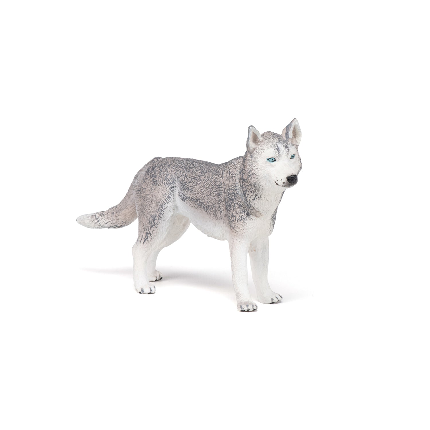 Figurine Husky de Sibérie Papo - chien ou chat