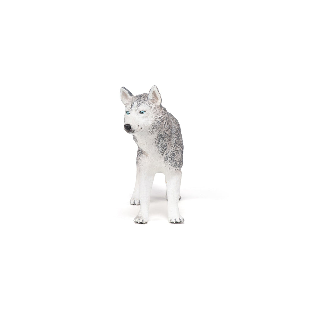 Figurine Husky de Sibérie Papo - chien ou chat
