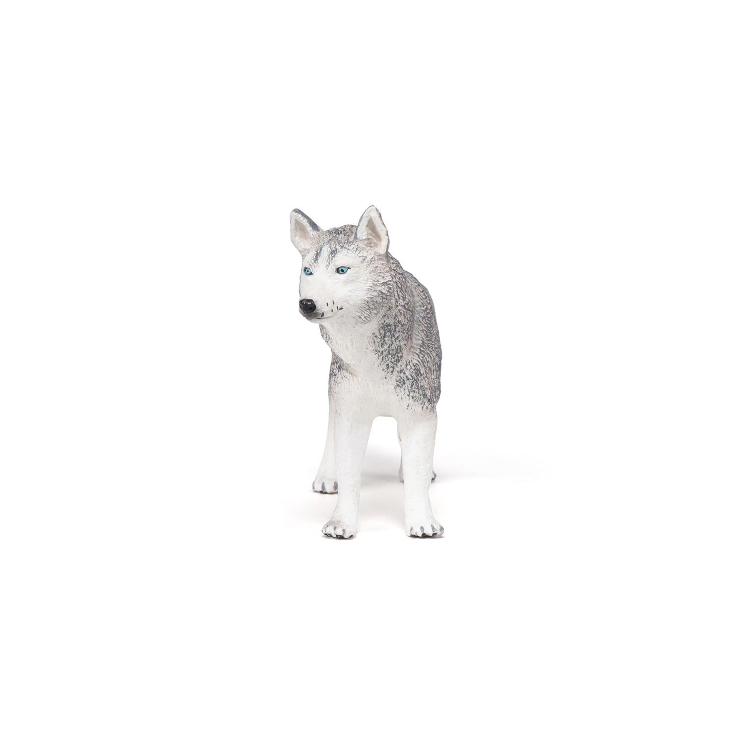 Figurine Husky de Sibérie Papo - chien ou chat