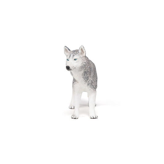 Figurine Husky de Sibérie Papo - chien ou chat