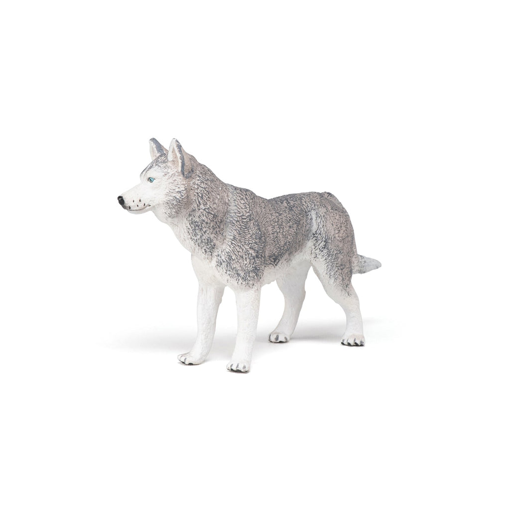 Figurine Husky de Sibérie Papo - chien ou chat