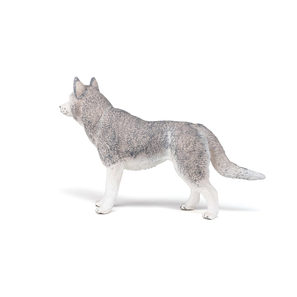 Figurine Husky de Sibérie Papo - chien ou chat
