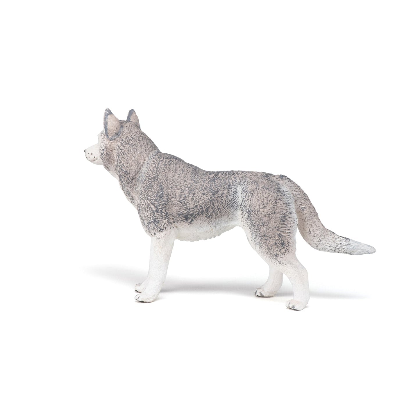 Figurine Husky de Sibérie Papo - chien ou chat