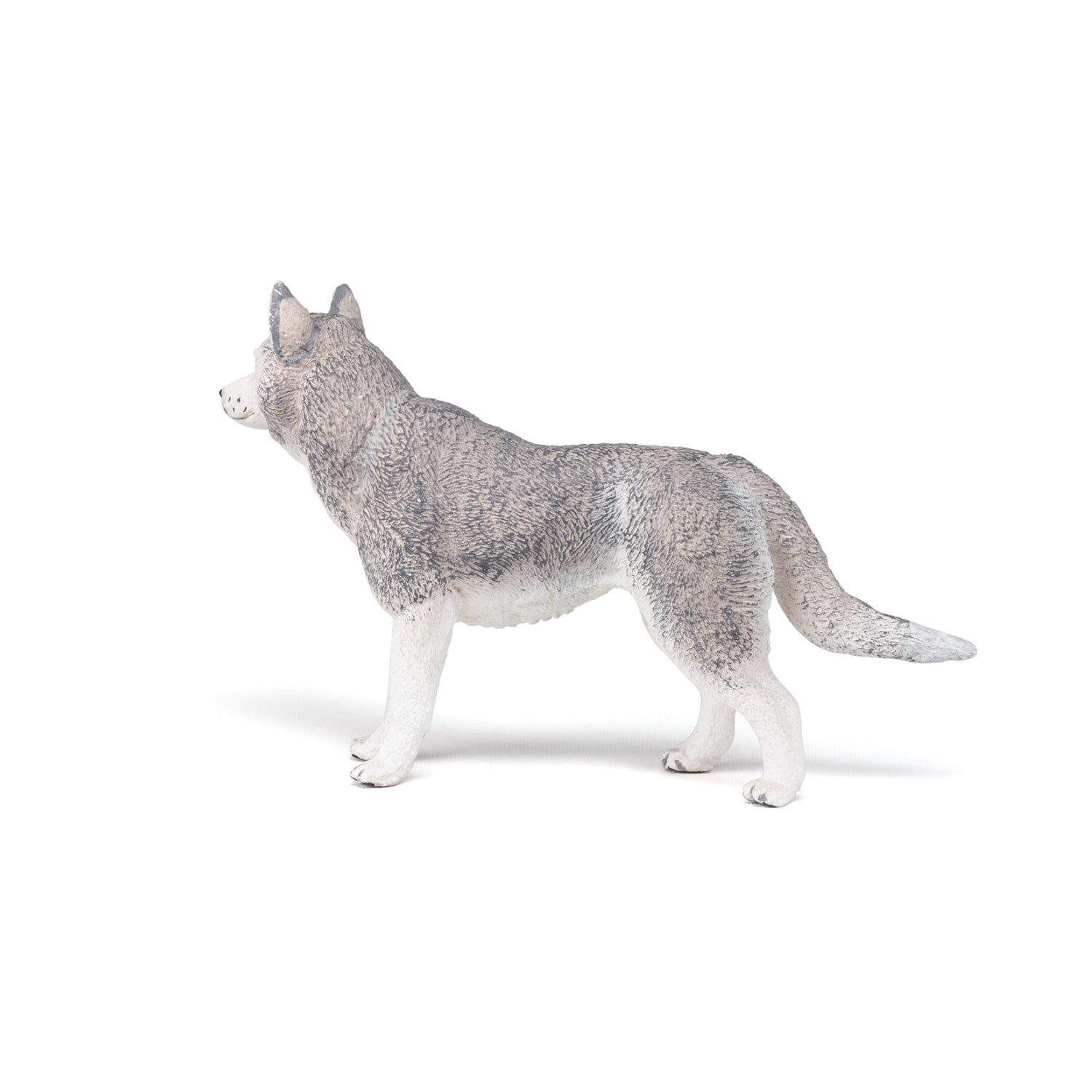 Figurine Husky de Sibérie Papo - chien ou chat