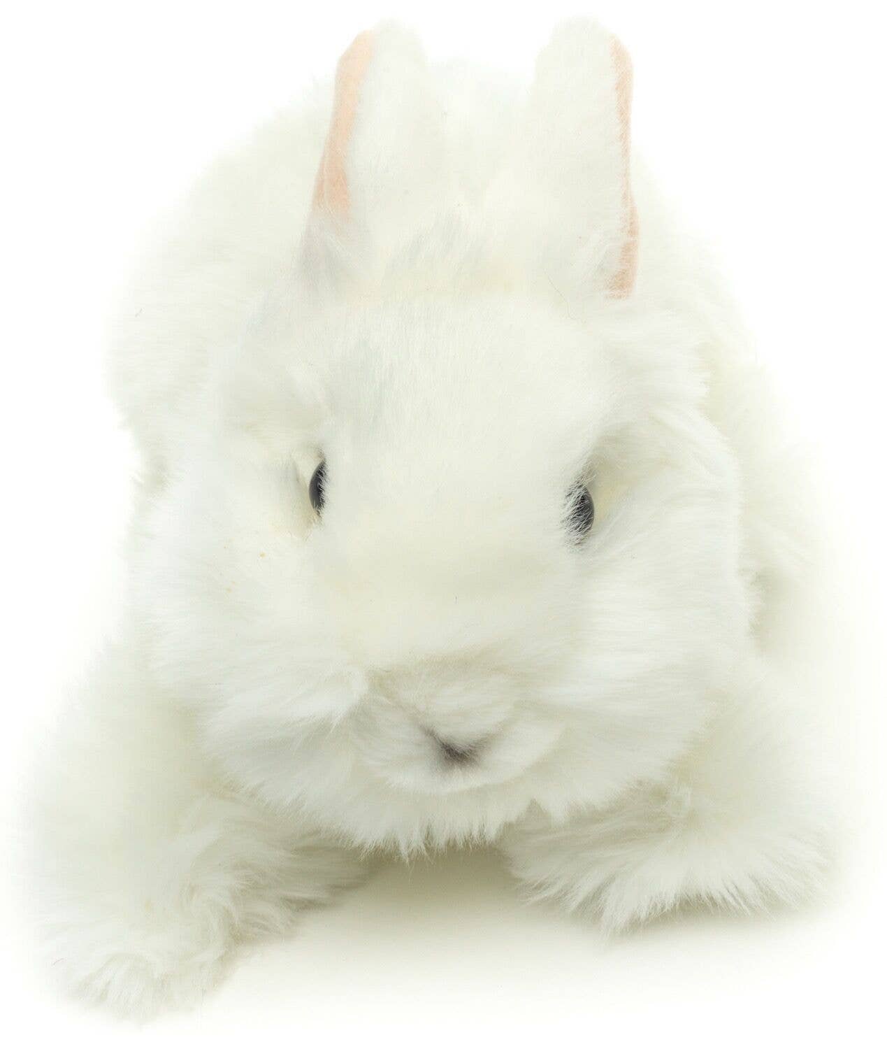 Peluche Lapin tête de lion (blanc)