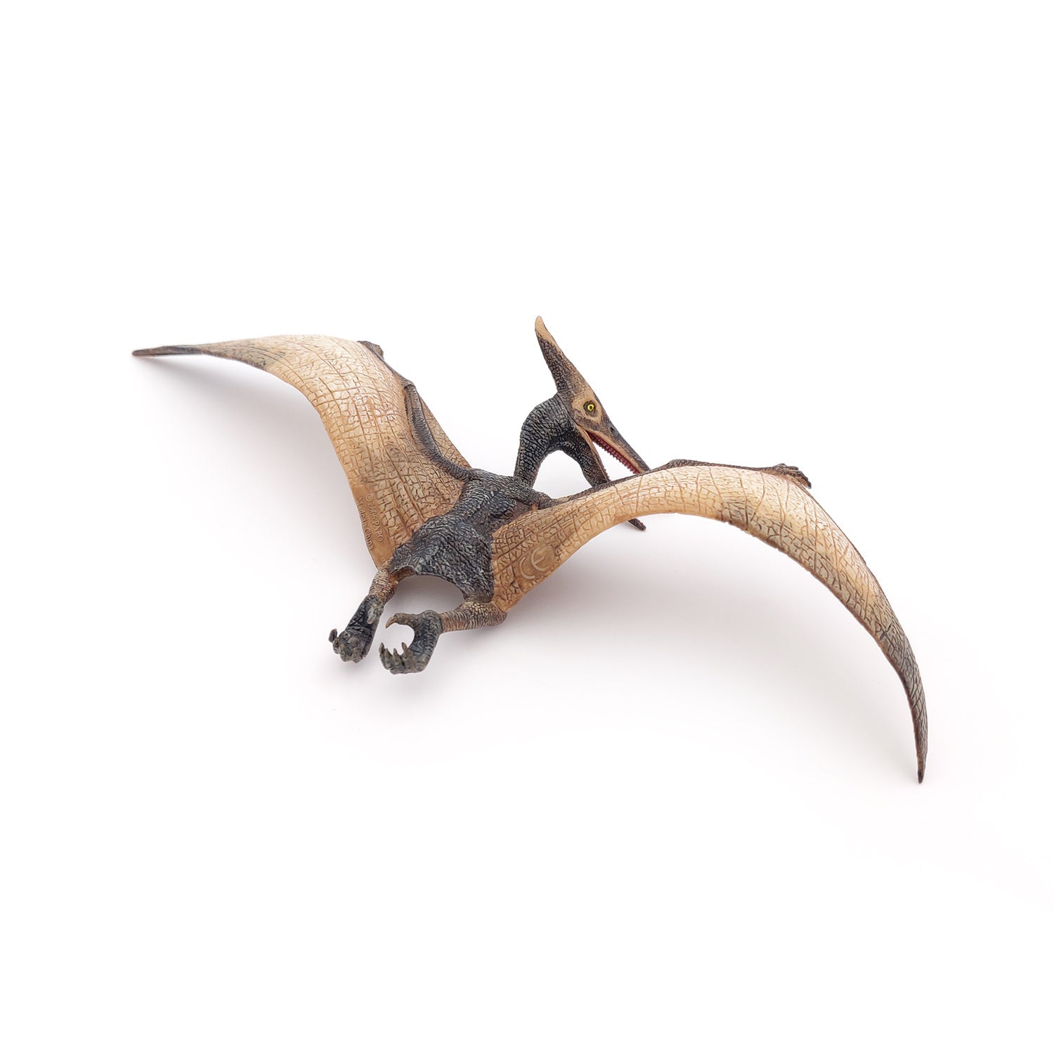 Figurine Ptéranodon Papo - dinosaure