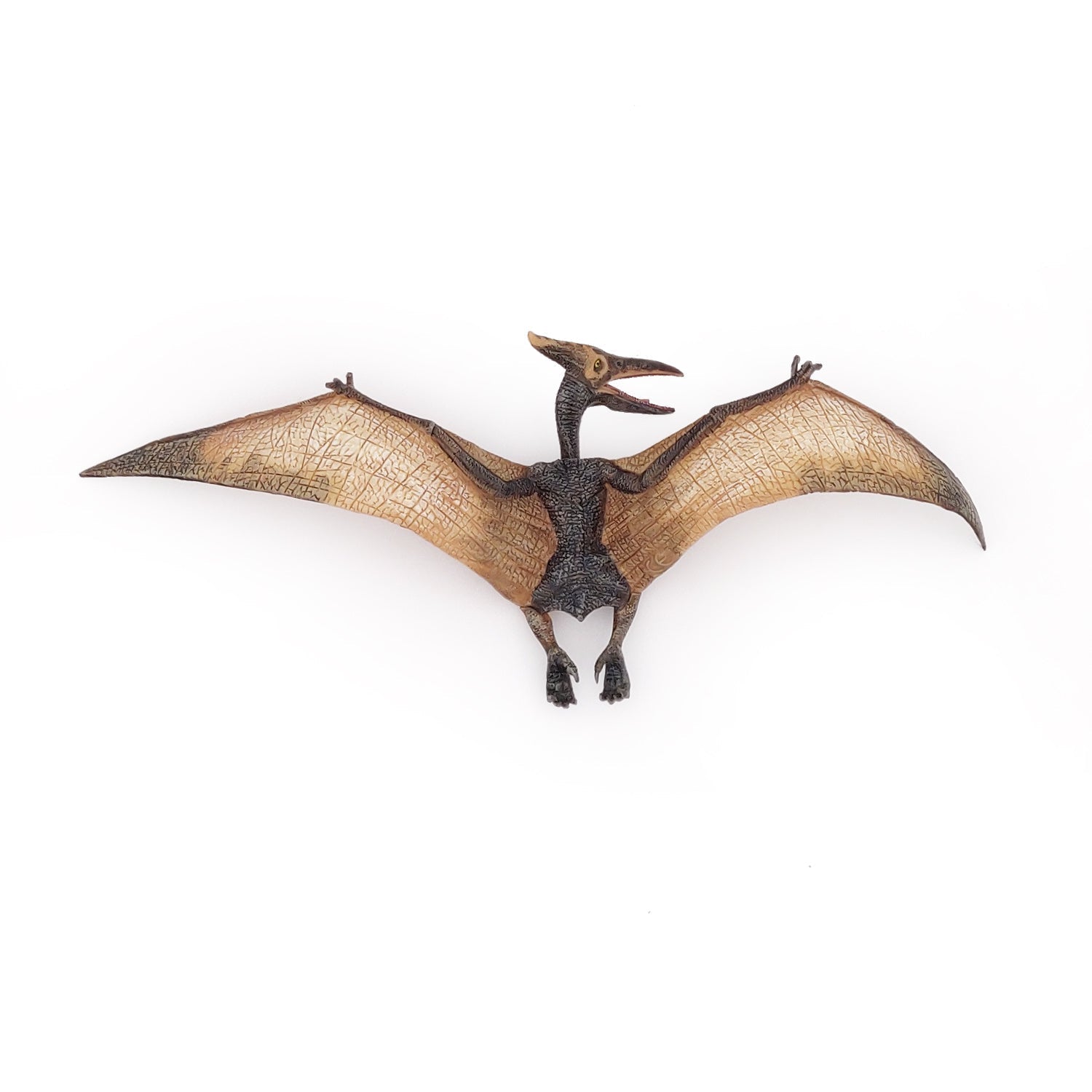 Figurine Ptéranodon Papo - dinosaure