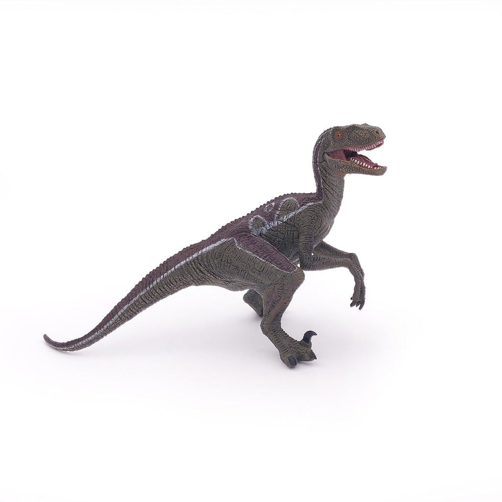 Figurine Vélociraptor Papo - dinosaure