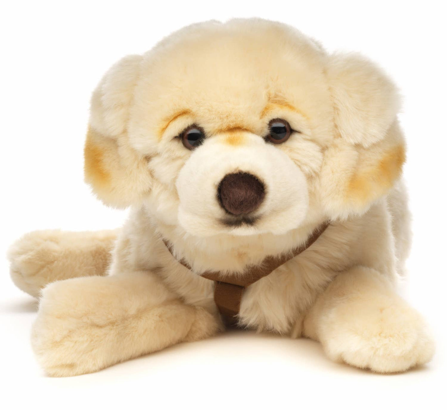 Peluche Golden Retriever, couché (avec harnais)