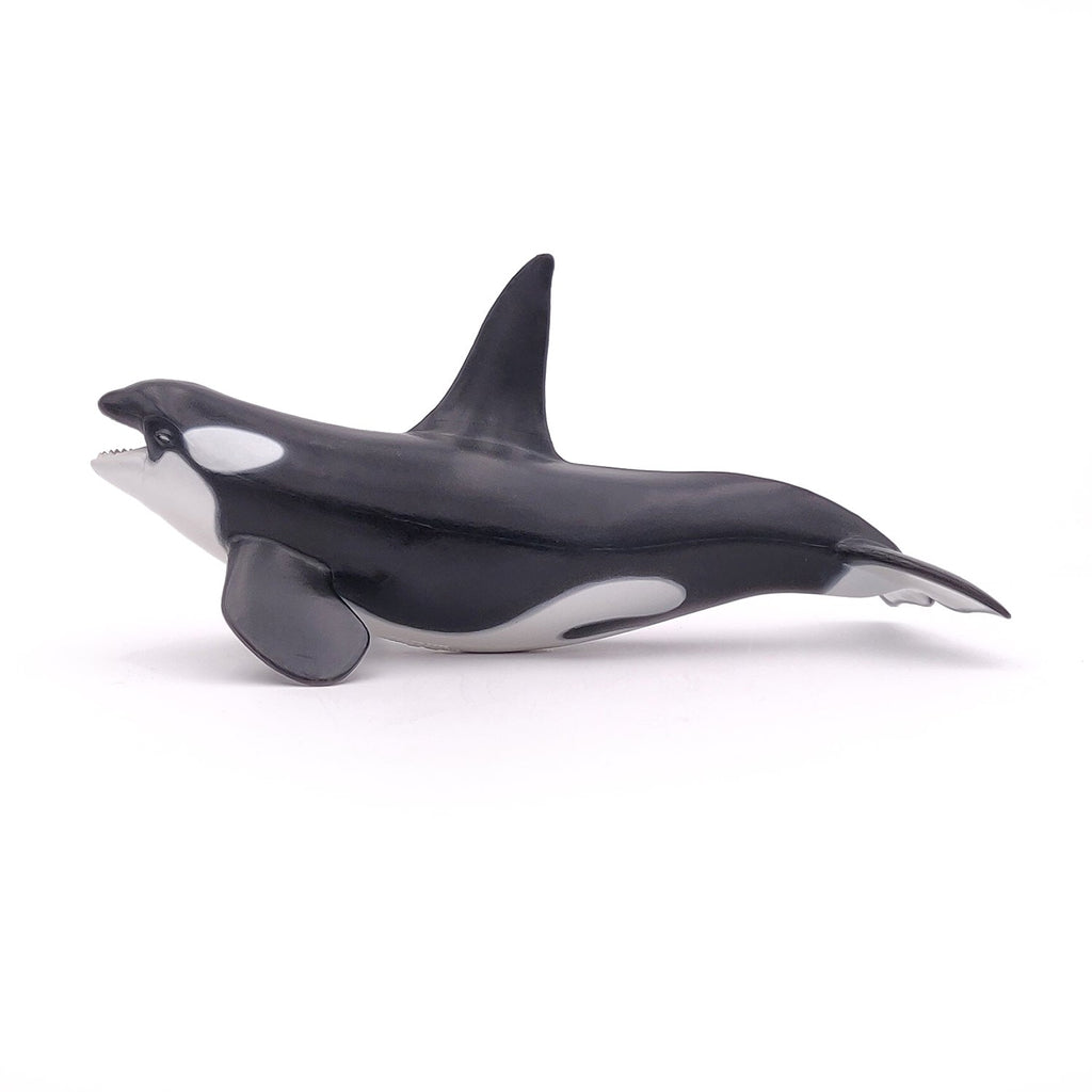 Figurine Orque Papo - animal marin