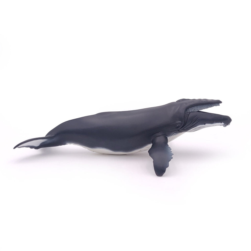 Figurine Baleine à bosse Papo - animal marin