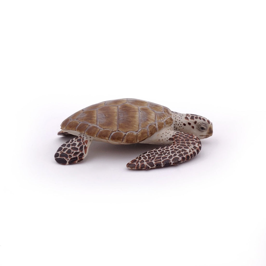 Figurine Tortue caouanne Papo - animal marin